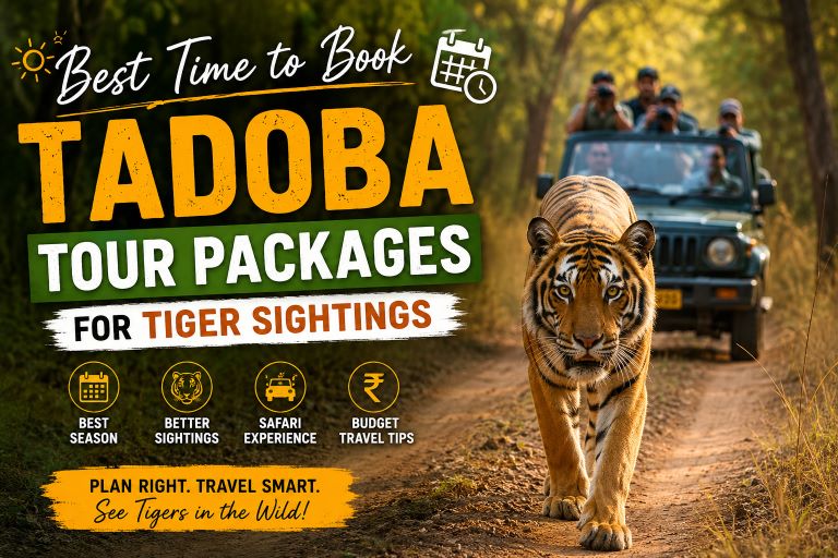Best Time to Book Tadoba Tour Packages for Tiger Sightings